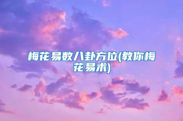 梅花易数八卦方位(教你梅花易术)