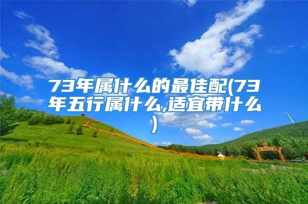 73年属什么的最佳配(73年五行属什么,适宜带什么)