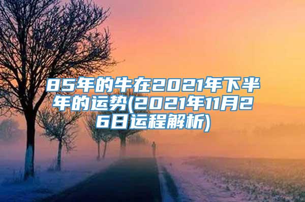 85年的牛在2021年下半年的运势(2021年11月26日运程解析)