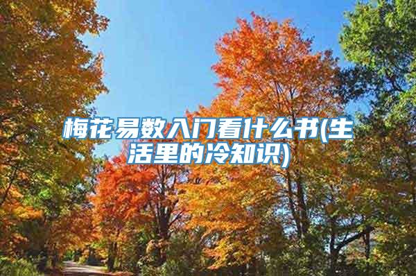 梅花易数入门看什么书(生活里的冷知识)