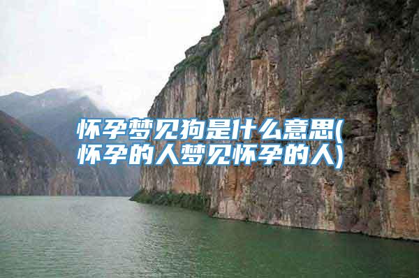 怀孕梦见狗是什么意思(怀孕的人梦见怀孕的人)
