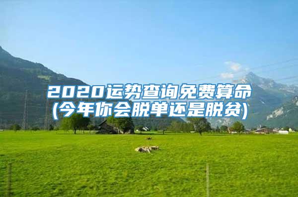 2020运势查询免费算命(今年你会脱单还是脱贫)