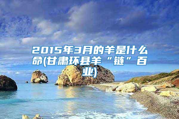 2015年3月的羊是什么命(甘肃环县羊“链”百业)