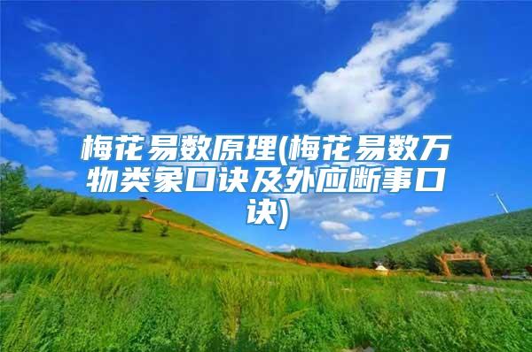 梅花易数原理(梅花易数万物类象口诀及外应断事口诀)