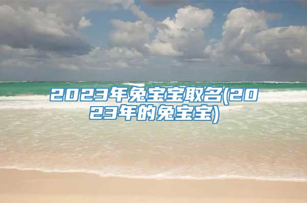 2023年兔宝宝取名(2023年的兔宝宝)