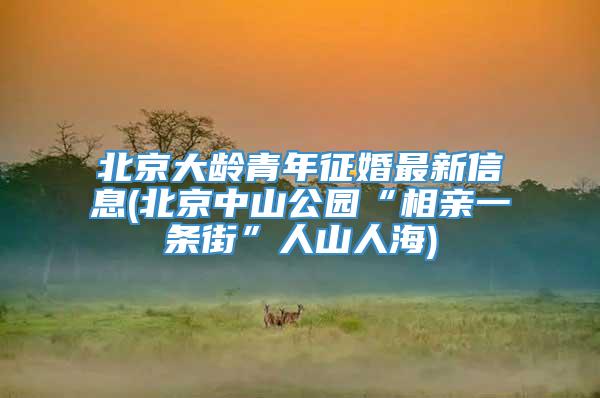 北京大龄青年征婚最新信息(北京中山公园“相亲一条街”人山人海)