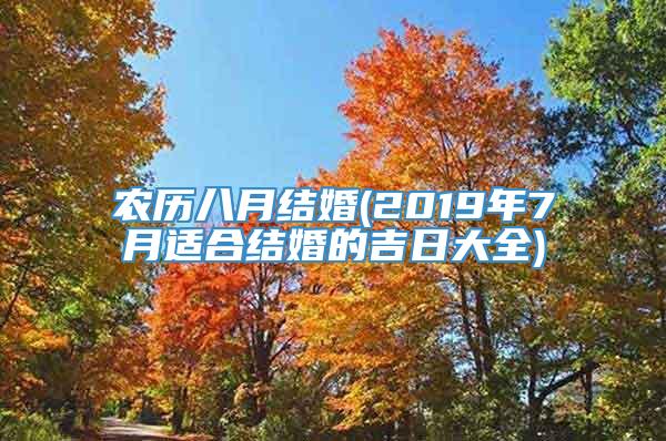 农历八月结婚(2019年7月适合结婚的吉日大全)