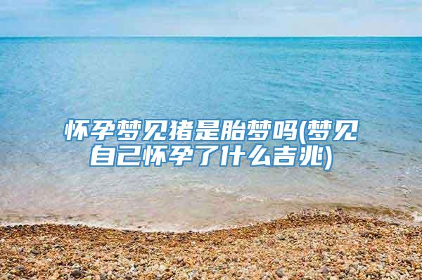 怀孕梦见猪是胎梦吗(梦见自己怀孕了什么吉兆)
