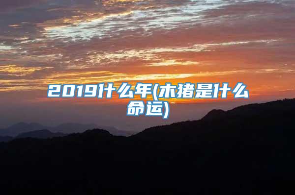 2019什么年(木猪是什么命运)