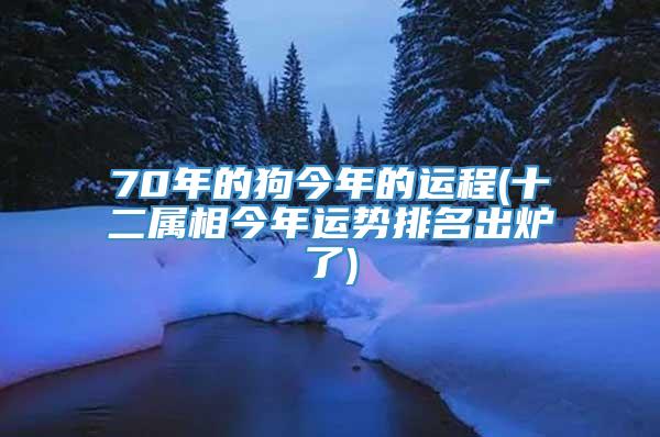 70年的狗今年的运程(十二属相今年运势排名出炉了)