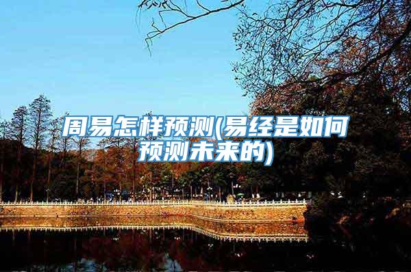 周易怎样预测(易经是如何预测未来的)