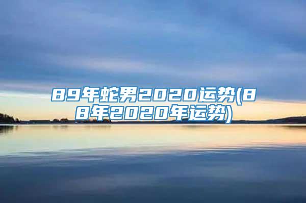 89年蛇男2020运势(88年2020年运势)