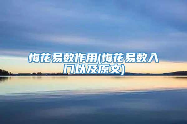 梅花易数作用(梅花易数入门以及原文)