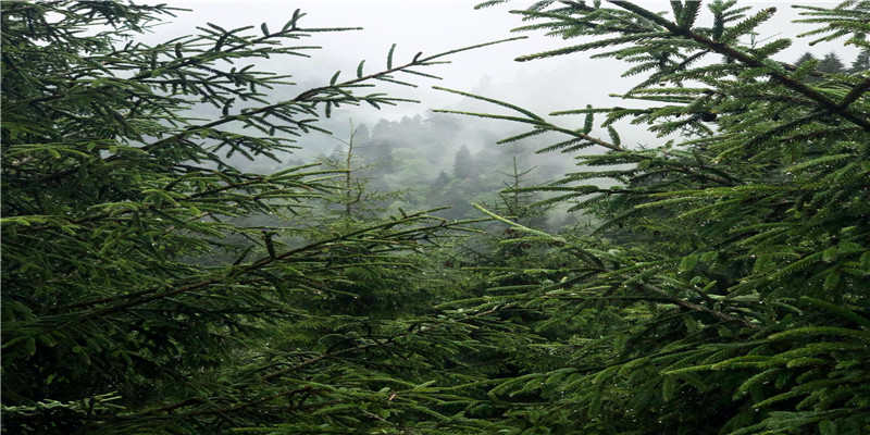 十二星座恋爱禁忌！狮子讨厌有话不直说，说这些会被巨蟹赶出家门