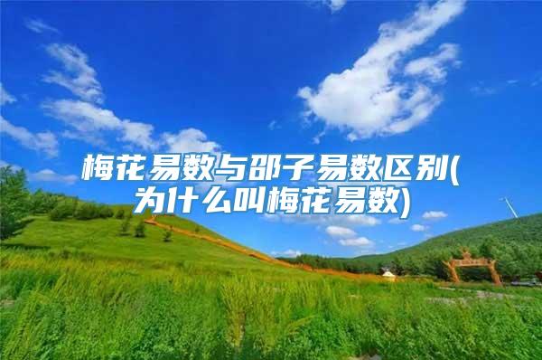 梅花易数与邵子易数区别(为什么叫梅花易数)