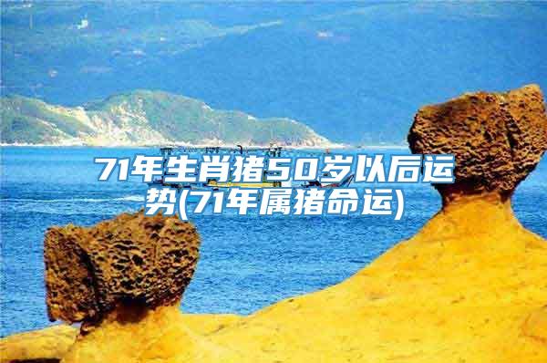 71年生肖猪50岁以后运势(71年属猪命运)