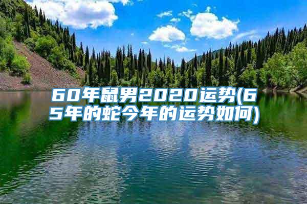 60年鼠男2020运势(65年的蛇今年的运势如何)