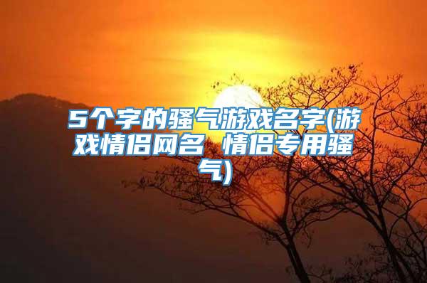 5个字的骚气游戏名字(游戏情侣网名 情侣专用骚气)