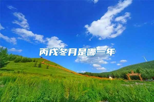 丙戌冬月是哪一年