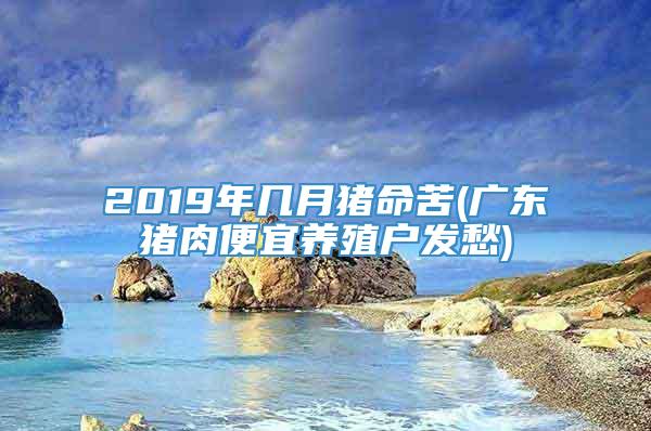 2019年几月猪命苦(广东猪肉便宜养殖户发愁)