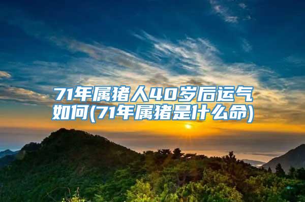 71年属猪人40岁后运气如何(71年属猪是什么命)