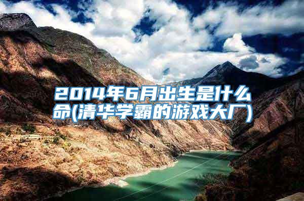 2014年6月出生是什么命(清华学霸的游戏大厂)