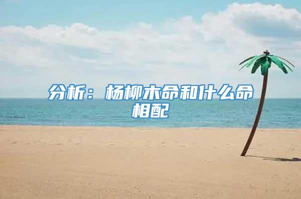 分析：杨柳木命和什么命相配