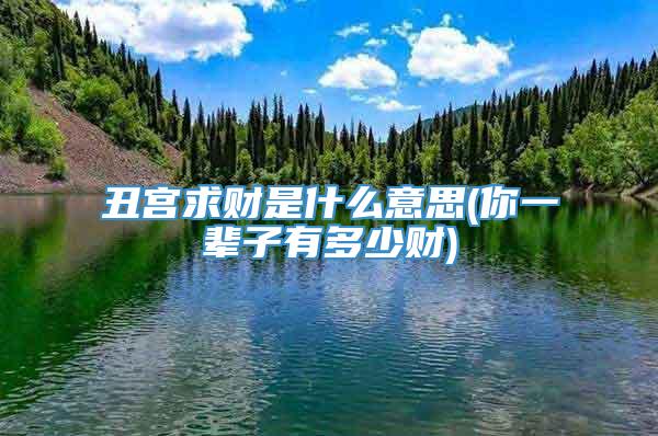 丑宫求财是什么意思(你一辈子有多少财)