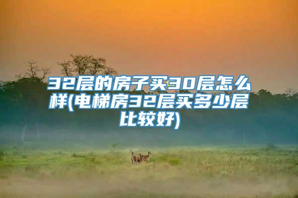 32层的房子买30层怎么样(电梯房32层买多少层比较好)