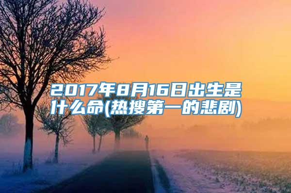 2017年8月16日出生是什么命(热搜第一的悲剧)
