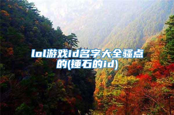 lol游戏id名字大全骚点的(锤石的id)