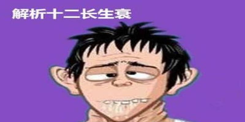 丙火身强喜用神(丙火身旺的人特点)