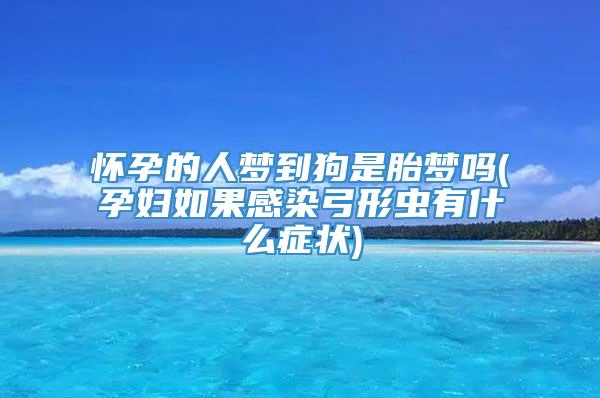怀孕的人梦到狗是胎梦吗(孕妇如果感染弓形虫有什么症状)