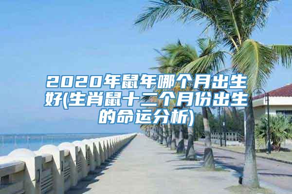 2020年鼠年哪个月出生好(生肖鼠十二个月份出生的命运分析)