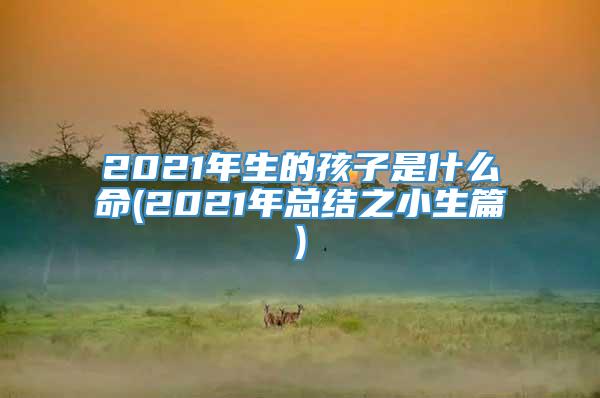 2021年生的孩子是什么命(2021年总结之小生篇)