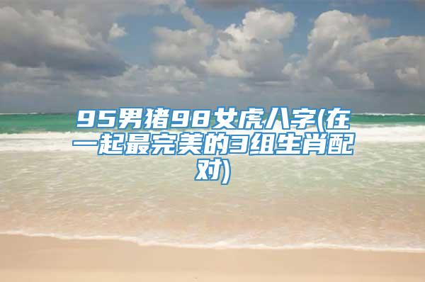 95男猪98女虎八字(在一起最完美的3组生肖配对)