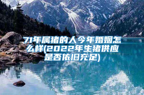 71年属猪的人今年婚姻怎么样(2022年生猪供应是否依旧充足)