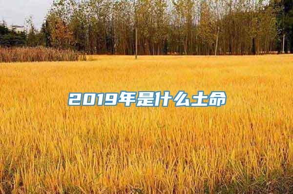 2019年是什么土命