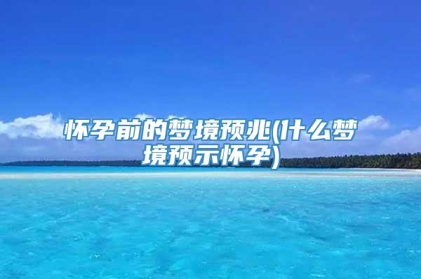 怀孕前的梦境预兆(什么梦境预示怀孕)