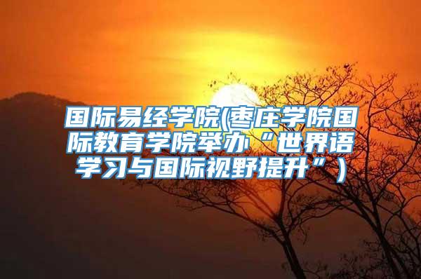 国际易经学院(枣庄学院国际教育学院举办“世界语学习与国际视野提升”)