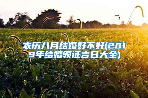 农历八月结婚好不好(2019年结婚领证吉日大全)