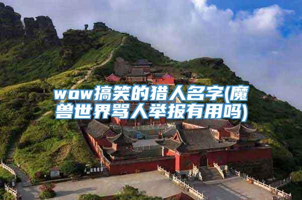 wow搞笑的猎人名字(魔兽世界骂人举报有用吗)