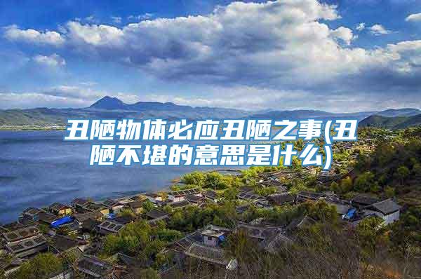 丑陋物体必应丑陋之事(丑陋不堪的意思是什么)