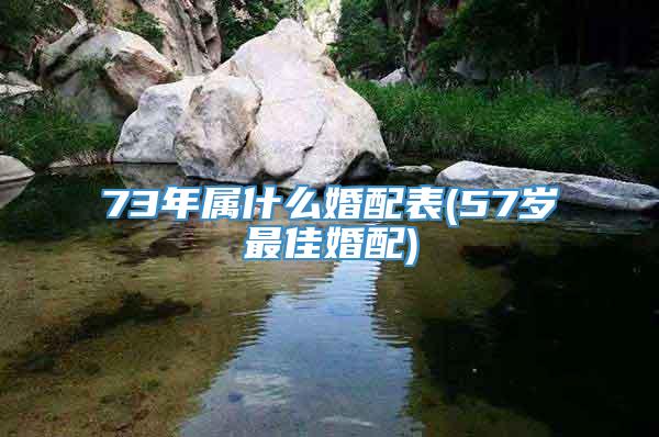 73年属什么婚配表(57岁最佳婚配)