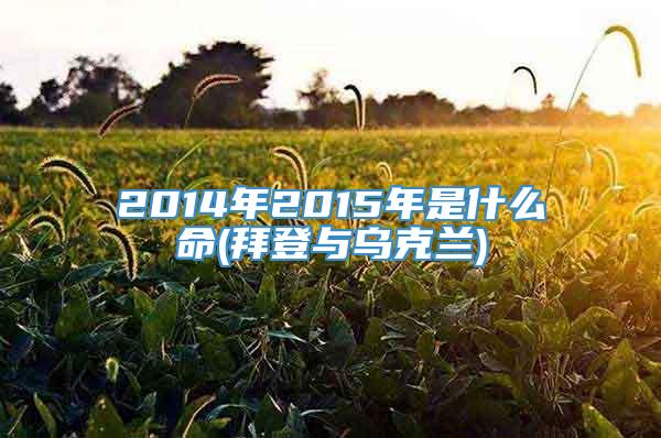 2014年2015年是什么命(拜登与乌克兰)