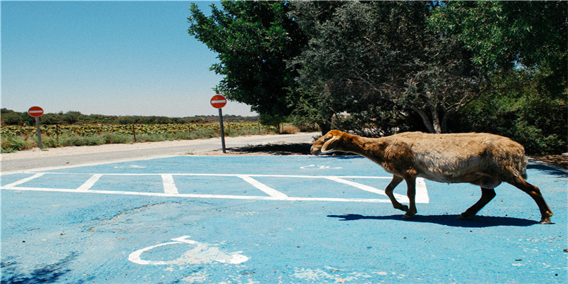 2022年正月初七结婚好不好(道路结冰黄色预警)