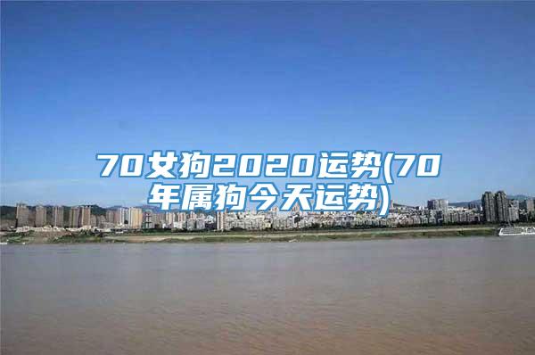 70女狗2020运势(70年属狗今天运势)