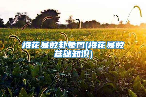 梅花易数卦象图(梅花易数基础知识)