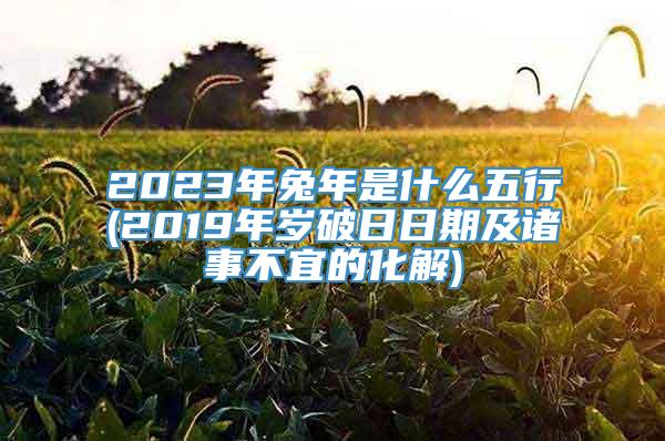 2023年兔年是什么五行(2019年岁破日日期及诸事不宜的化解)