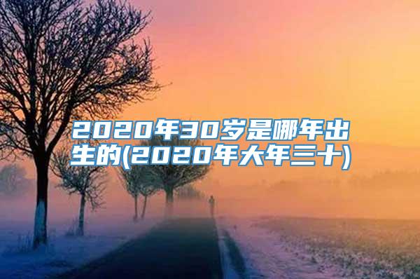 2020年30岁是哪年出生的(2020年大年三十)